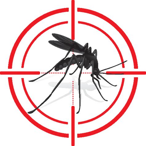 Cómo escoger el mejor repelente de mosquitos   mtfarmàcia
