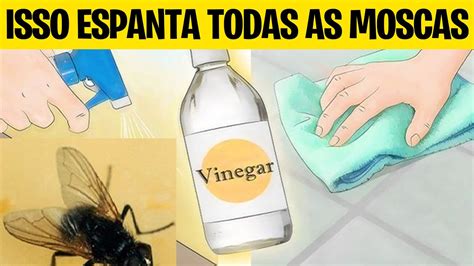 COMO ESPANTAR MOSCAS DA COZINHA? Essa RECEITA CASEIRA acaba com todos ...