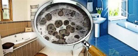 ¿Cómo evitar los hongos de humedad en el baño?