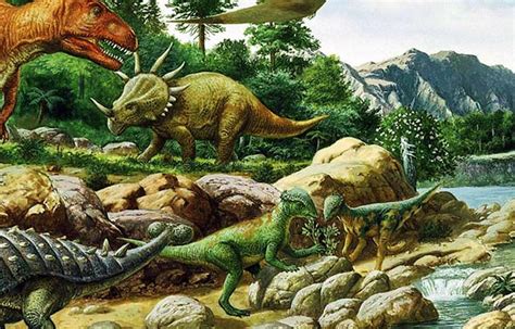 Cómo evolucionaron los dinosaurios – Sooluciona