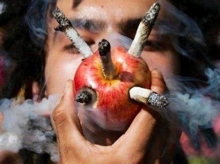 ¿Como fumar hachís o marihuana sin tabaco? | FlorProhibida