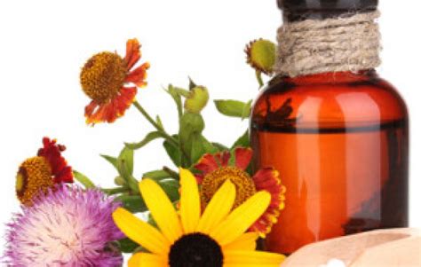 ¿Como funciona el medicamento homeopático? | Noticias ...