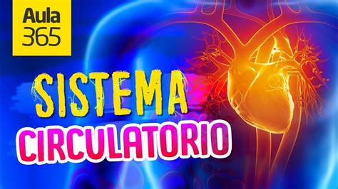 ¿Cómo funciona el Sistema Circulatorio? | Videos ...