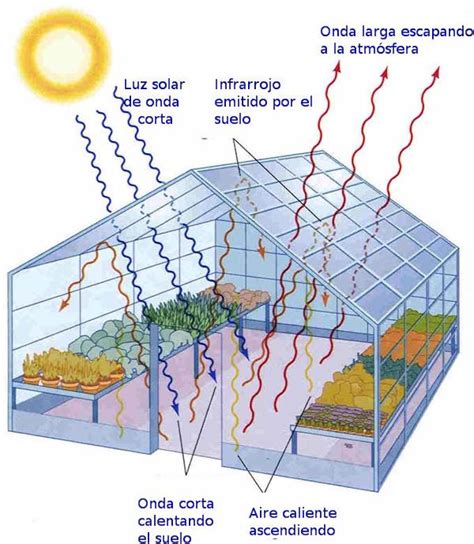 como funciona un invernadero   AboutHaus