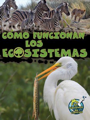 Cómo funcionan los ecosistemas  How Ecosystems Work  by ...