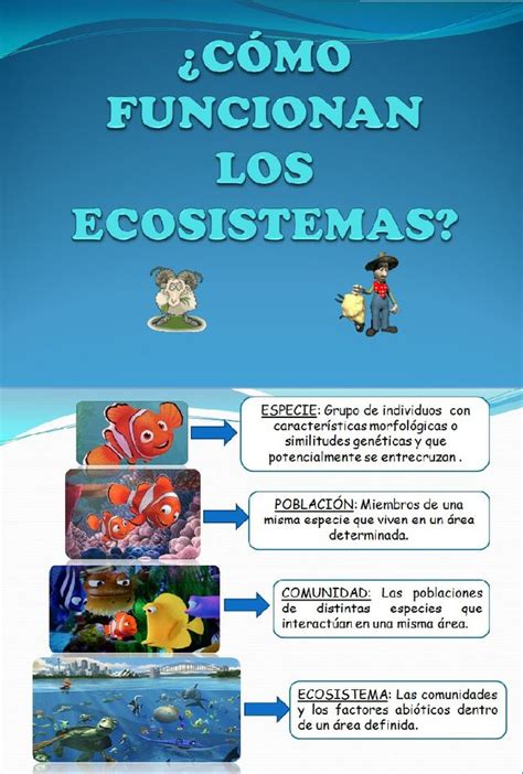 ¿Cómo funcionan los ecosistemas?   Blog Ciencias de San ...