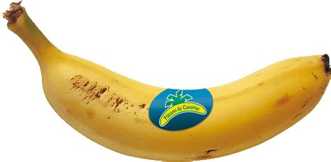 Cómo hablarte: El plátano de Canarias