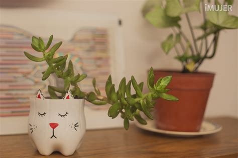Cómo hacer macetas con forma de gatitos para tus plantas ...