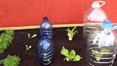 Como Hacer Mini Invernaderos Para Nuestras Plantas   La Huertina De Toni