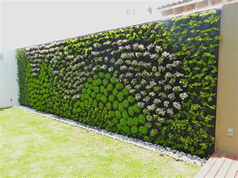 Como hacer Muros Verdes y Jardines verticales | Muros verdes, Muros ...