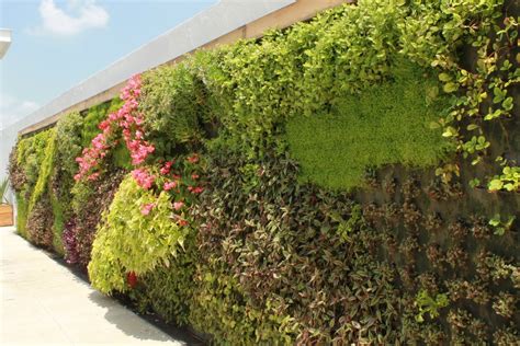 Como hacer Muros Verdes y Jardines verticales   •• Tu Comunidad Amiga ...