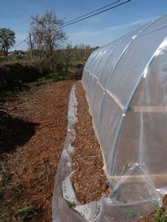 Cómo hacer tu propio invernadero con tubos de PVC en 2020 | Invernadero ...