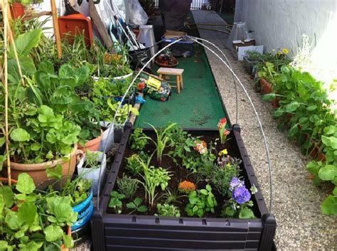 Cómo hacer un huerto ecológico en casa | Jardineria On