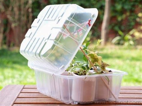 Cómo hacer un Invernadero Casero   DIY: Make a Homemade Greenhouse ...