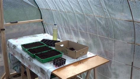 Cómo hacer un invernadero casero y económico | Plantas