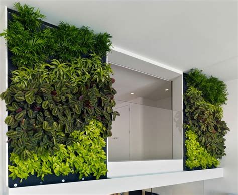Cómo hacer un jardín vertical   Ideas para exteriores e interiores