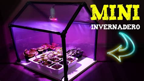 Cómo Hacer un MINI INVERNADERO CASERO Para Germinar Semillas o Hacer ...