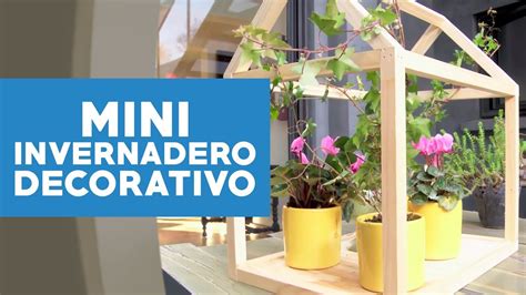 ¿Cómo hacer un mini invernadero decorativo?   YouTube