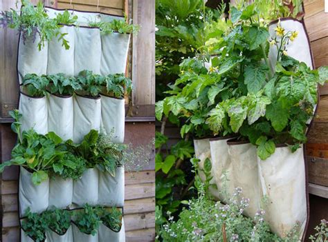 Como hacer un muro verde / jardines verticales