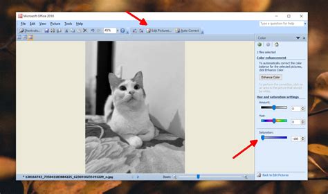 Cómo hacer una foto en blanco y negro en Windows 10   Miltrucos