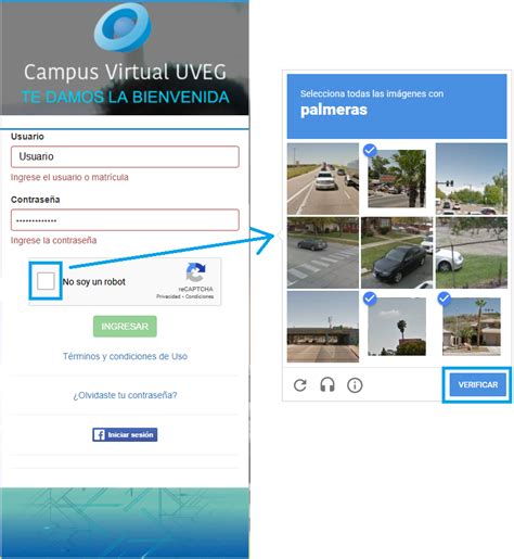 Cómo ingreso al Campus Virtual