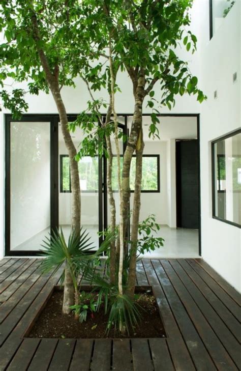 Cómo integrar árboles en la decoración interior de una casa