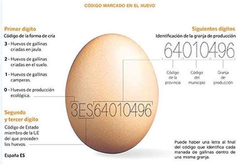 ¿Cómo leer un huevo? . SUR.es