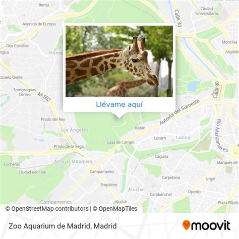 Cómo llegar a Zoo Aquarium de Madrid en Madrid en Autobús, Metro o Tren ...