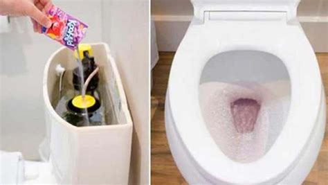 Como no lo supe antes: estos trucos para limpiar el baño te facilitaran ...