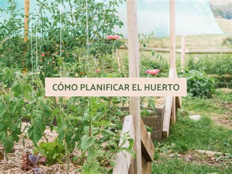 Cómo PLANIFICAR los cultivos en el HUERTO   Planificar huerto