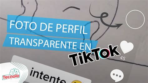 Cómo poner tu Foto de Perfil Transparente en TikTok   YouTube