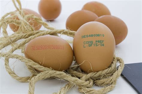 Cómo saber si un huevo está malo, podrido o bueno | Huevo ...