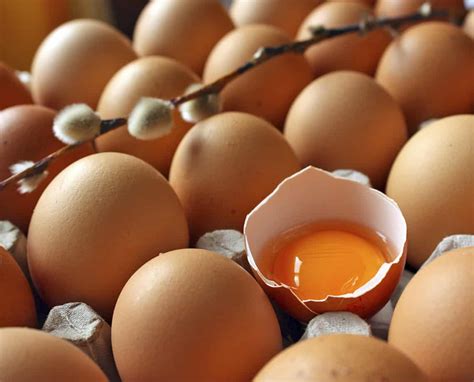Cómo saber si un huevo está podrido sin romperlo   La Guía ...