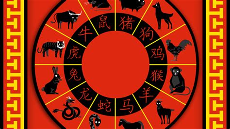 Cómo saber tu signo del Horóscopo chino   WAPA.tv ...