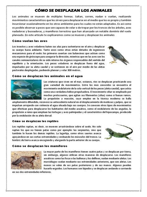 Cómo Se Desplazan Los Animales