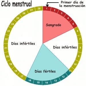 Como se identifica el primer día del ciclo menstrual, Como saber cuál ...