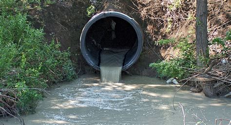 Cómo se mueven los contaminantes de agua dulce?