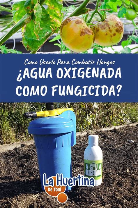 Como Usar El Agua Oxigenada Como Fungicida Y Bactericida Casero ...