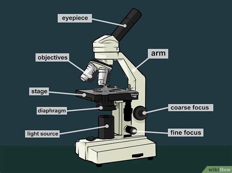 Como Usar um Microscópio: 17 Passos  com Imagens