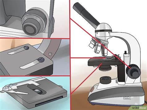 Cómo usar un microscopio compuesto: 12 pasos  con fotos