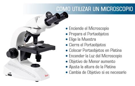 ¿Cómo usar un microscopio?   Aprende a utilizarlo en tan ...