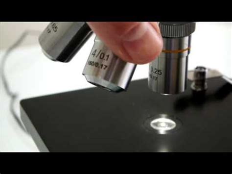 Cómo utilizar un microscopio escolar   YouTube