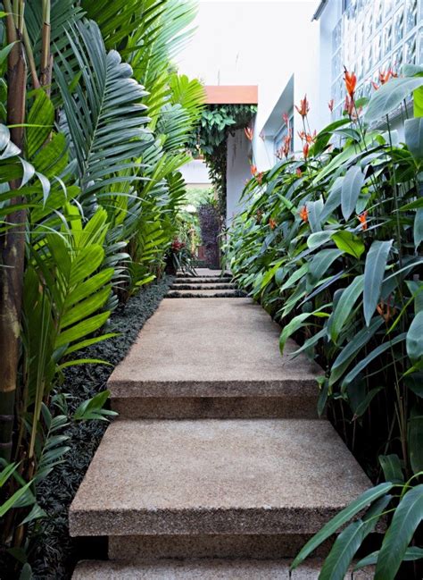 Como valorizar corredores com plantas   Casa e Jardim ...