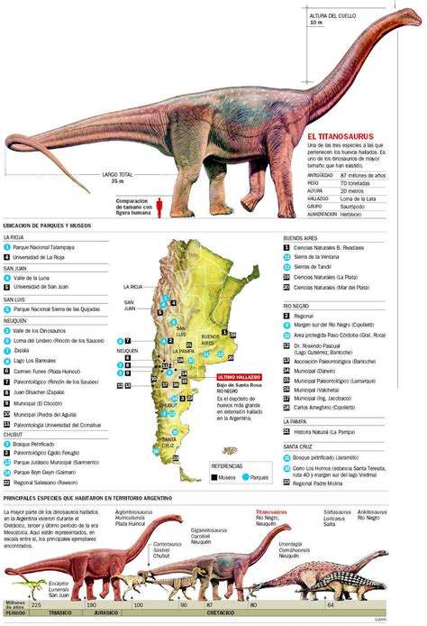 Comparación dinos argentinos gigantes | Animales prehistóricos ...