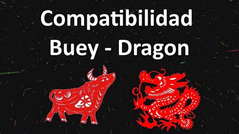 Compatibilidad Buey   Dragon, Horóscopo Chino   YouTube