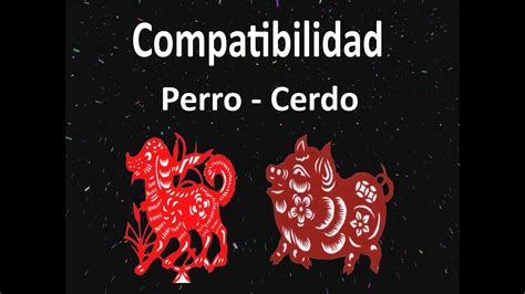 Compatibilidad Perro   Cerdo, Horóscopo Chino   YouTube