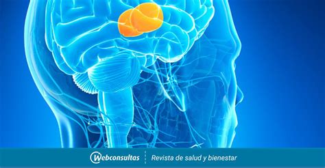 Complicaciones de los tumores cerebrales   Salud al día
