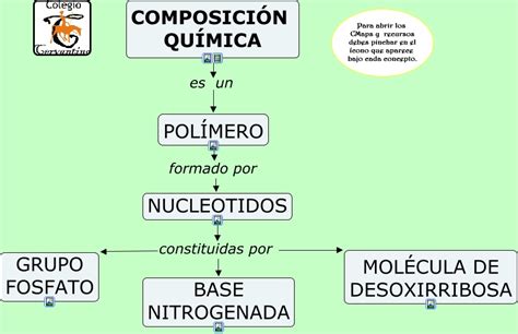 Composición química del ADN