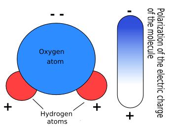 Composición química del agua | La guía de Biología