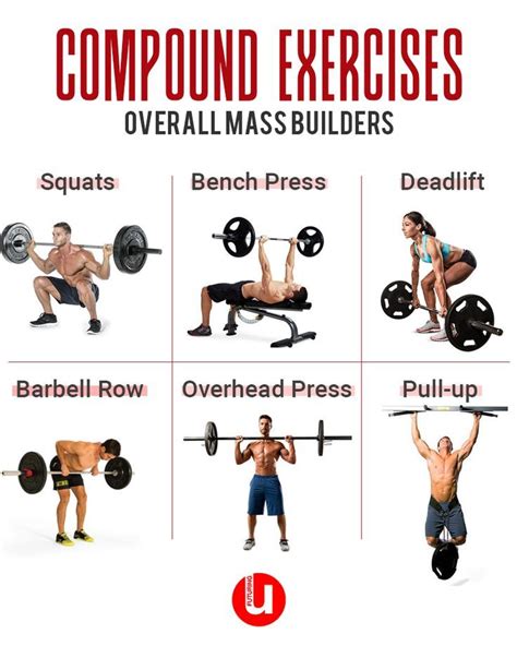 Compound exercises for overall mass builders. #AbsWorkout ...